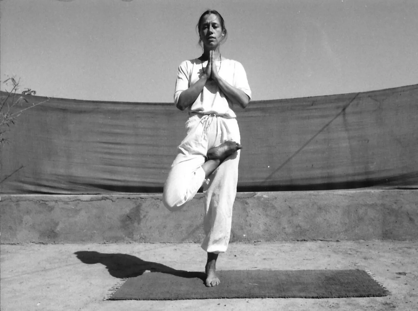 Kumud D. Schramm in der Baumhaltung, Indien